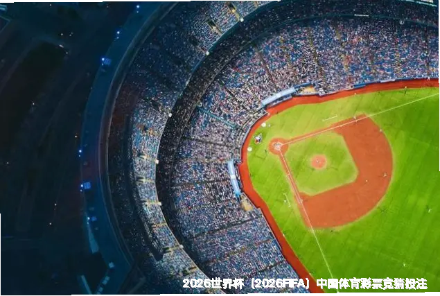 核心团队与专业资质